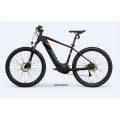 Bikes de montaña Electric DDP en venta